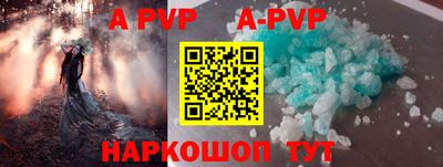 дживик Моздок