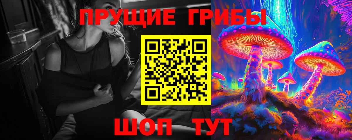 Галлюциногенные грибы прущие грибы  Вход с VPN  Сухой Лог 