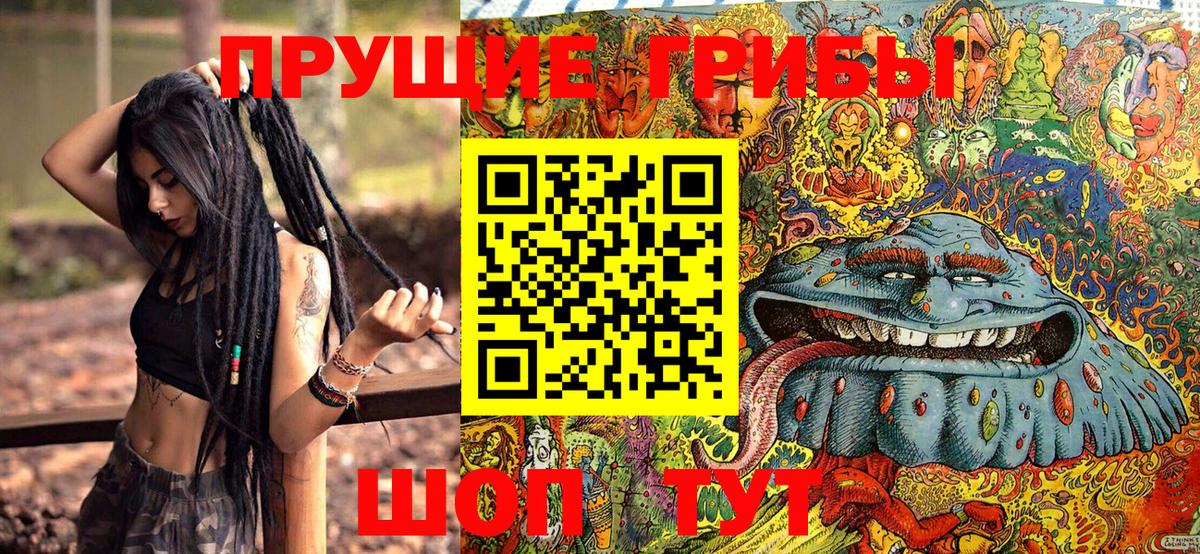 Псилоцибиновые грибы GOLDEN TEACHER Сухой Лог